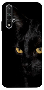 Чехол Черный кот для Huawei Honor 20
