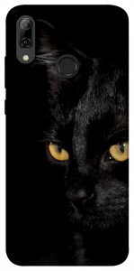 Чехол Черный кот для Huawei P Smart (2019)