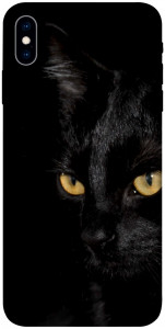 Чехол Черный кот для iPhone X (5.8")