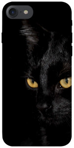 Чохол Чорний кіт для iPhone 8 (4.7")
