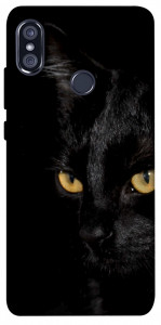 Чехол Черный кот для Xiaomi Redmi Note 5 Pro