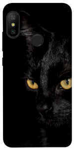 Чехол Черный кот для Xiaomi Redmi 6 Pro