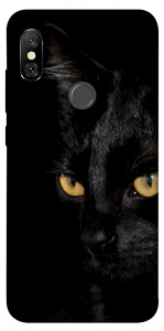 Чехол Черный кот для Xiaomi Redmi Note 6 Pro
