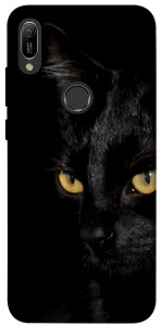 Чехол Черный кот для Huawei Y6 (2019)