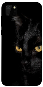 Чохол Чорний кіт для Huawei Y5p