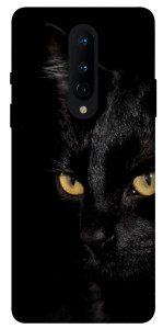 Чохол Чорний кіт для OnePlus 8