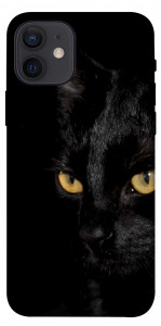 Чохол Чорний кіт для iPhone 12