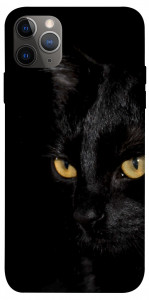 Чехол Черный кот для iPhone 12 Pro