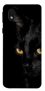 Чехол Черный кот для Samsung Galaxy M01 Core