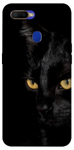 Чехол Черный кот для Oppo A5s