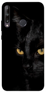 Чехол Черный кот для Huawei Y7p