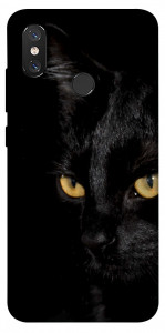 Чехол Черный кот для Xiaomi Mi 8