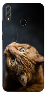 Чохол Рудий кіт для Huawei Honor 8X