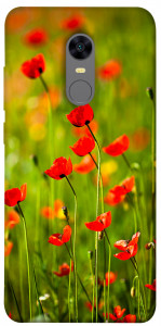 Чехол Маковое поле для Xiaomi Redmi 5 Plus