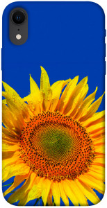 Чехол Sunflower для iPhone XR