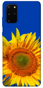 Чохол Sunflower для Galaxy S20 Plus (2020)