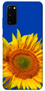 Чехол Sunflower для Galaxy S20 (2020)