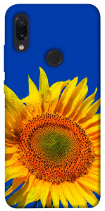 Чохол Sunflower для Xiaomi Redmi Note 7