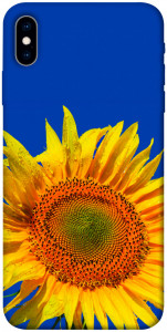 Чехол Sunflower для iPhone X (5.8")