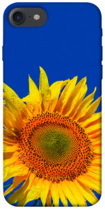 Чохол Sunflower для iPhone 8 (4.7")