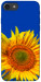 Чехол Sunflower для iPhone 8