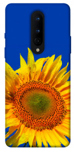 Чехол Sunflower для OnePlus 8