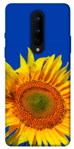 Чохол Sunflower для OnePlus 8