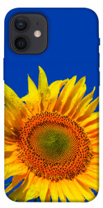Чохол Sunflower для iPhone 12