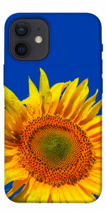 Чохол Sunflower для iPhone 12 mini