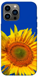 Чехол Sunflower для iPhone 12 Pro Max