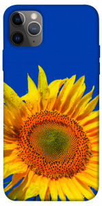 Чехол Sunflower для iPhone 12 Pro
