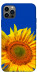 Чохол Sunflower для iPhone 12 Pro