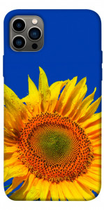 Чехол Sunflower для iPhone 12 Pro