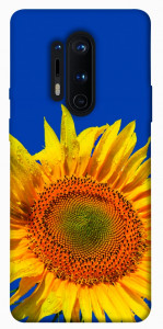 Чехол Sunflower для OnePlus 8 Pro