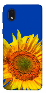 Чехол Sunflower для Samsung Galaxy M01 Core