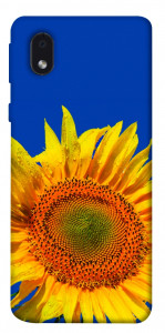 Чохол Sunflower для Samsung Galaxy A01 Core