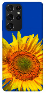 Чехол Sunflower для Galaxy S21 Ultra