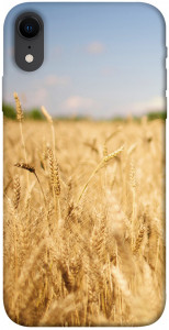 Чехол Поле пшеницы для iPhone XR