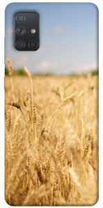 Чохол Поле пшениці для Galaxy A71 (2020)