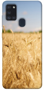 Чохол Поле пшениці для Galaxy A21s (2020)