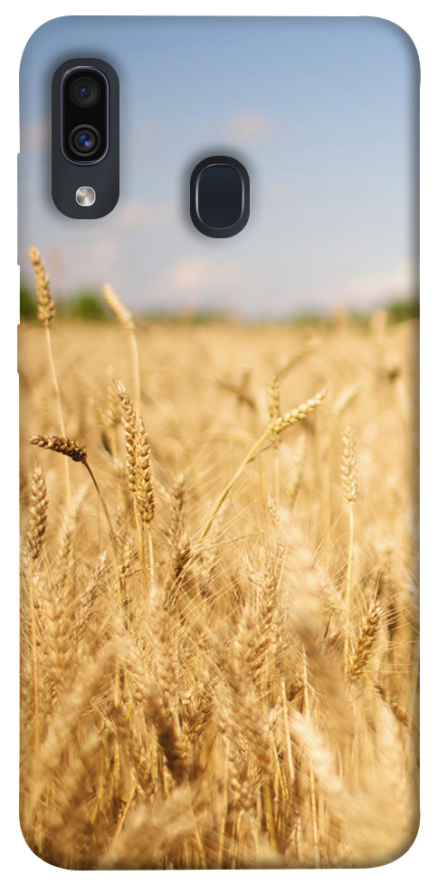 Чохол Поле пшениці для Galaxy A30 (2019)