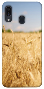 Чехол Поле пшеницы для Samsung Galaxy A30