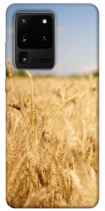 Чехол Поле пшеницы для Galaxy S20 Ultra (2020)