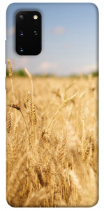 Чехол Поле пшеницы для Galaxy S20 Plus (2020)