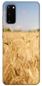 Чехол Поле пшеницы для Galaxy S20 (2020)
