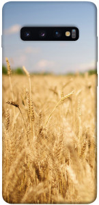 Чехол Поле пшеницы для Galaxy S10 Plus (2019)