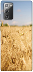 Чехол Поле пшеницы для Galaxy Note 20