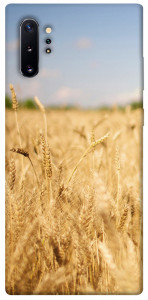 Чехол Поле пшеницы для Galaxy Note 10+ (2019)