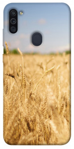 Чехол Поле пшеницы для Galaxy M11 (2020)