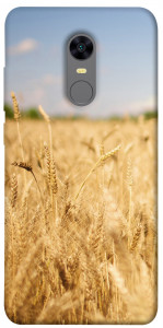 Чехол Поле пшеницы для Xiaomi Redmi 5 Plus